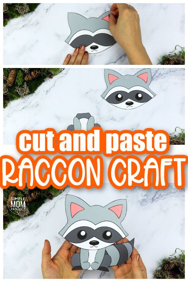 Detail Free Raccoon Nomer 41