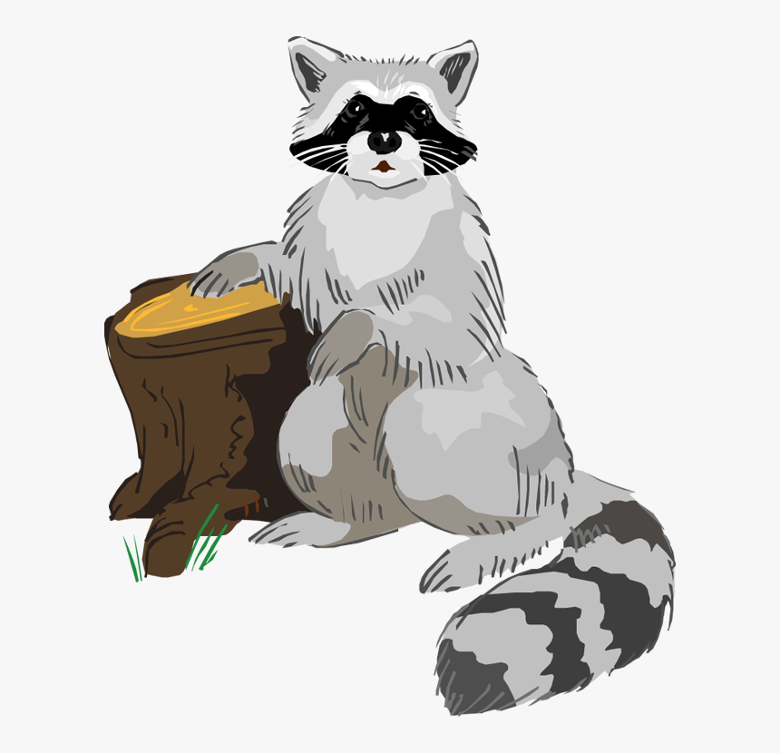 Detail Free Raccoon Nomer 48
