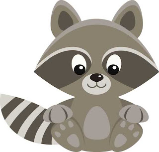 Detail Free Raccoon Photos Nomer 46