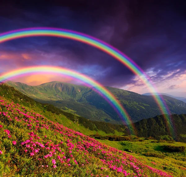 Download Free Rainbow Pictures Nomer 36