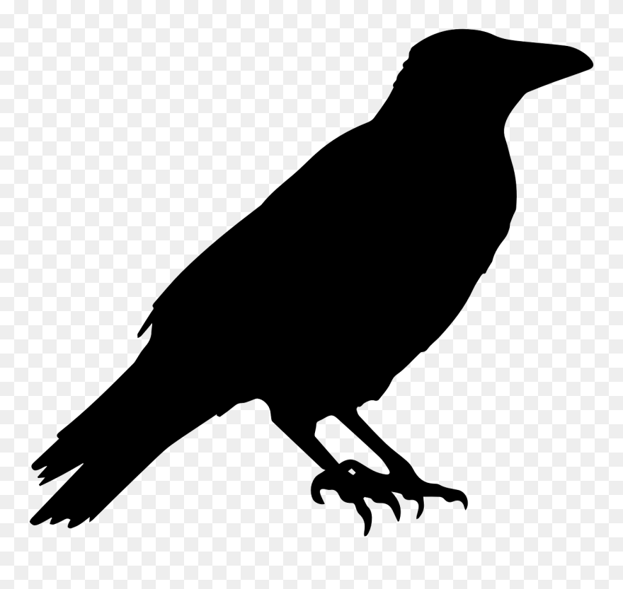 Detail Free Raven Clipart Nomer 6