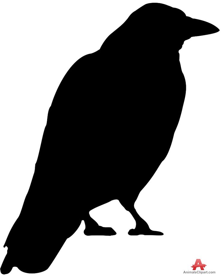 Detail Free Raven Clipart Nomer 8