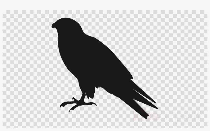 Detail Free Raven Clipart Nomer 14