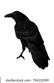 Detail Free Raven Clipart Nomer 16