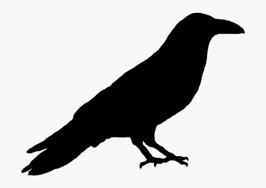 Detail Free Raven Clipart Nomer 17