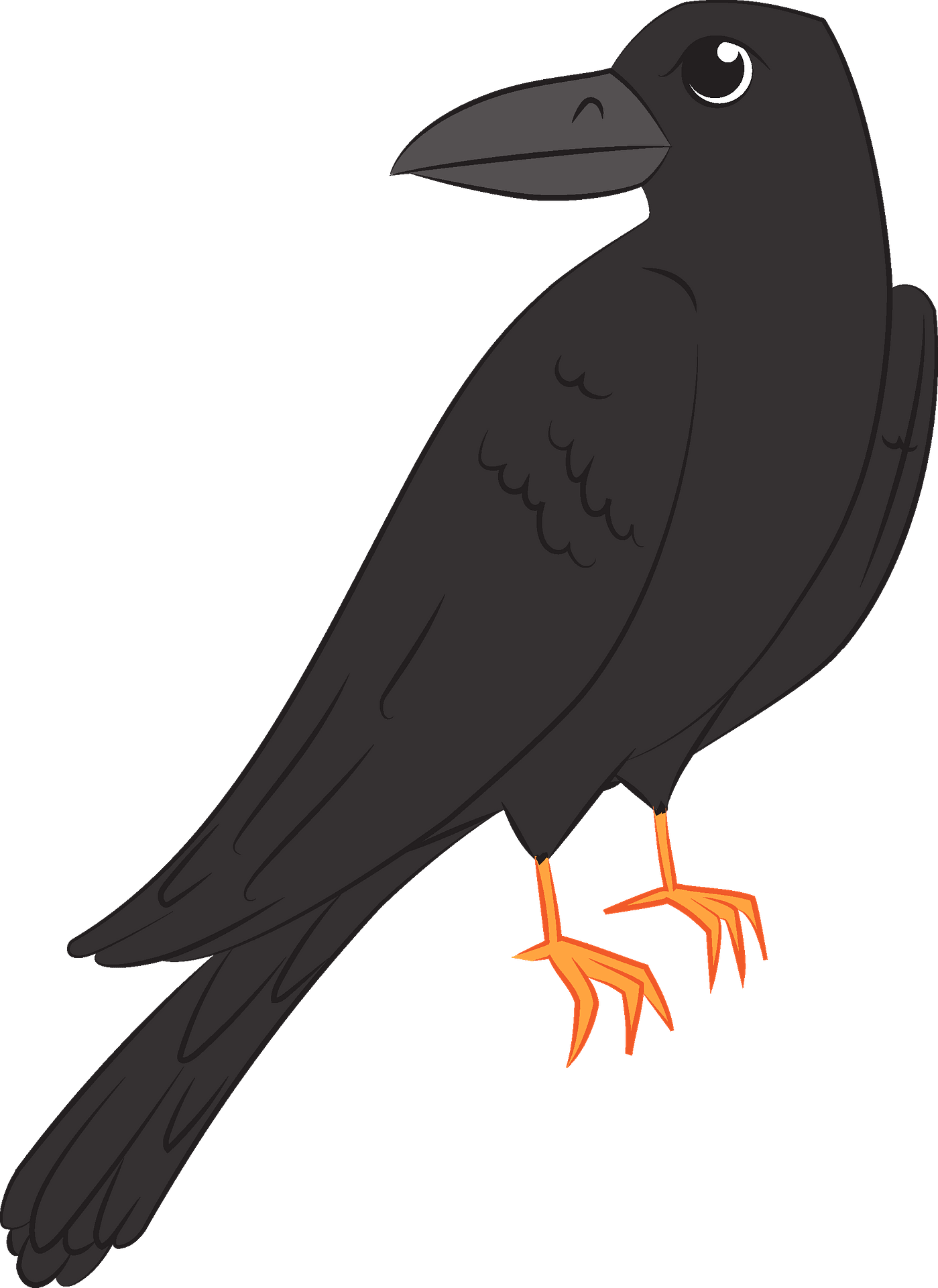 Detail Free Raven Clipart Nomer 22