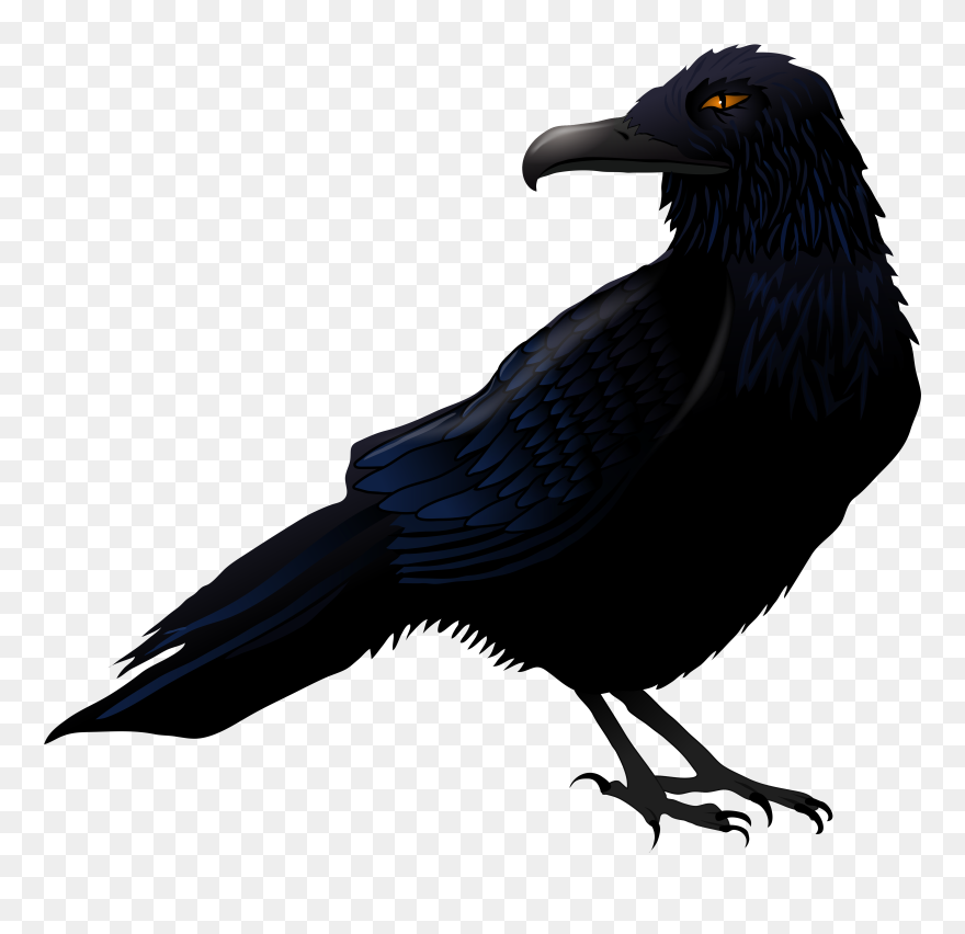 Detail Free Raven Clipart Nomer 27