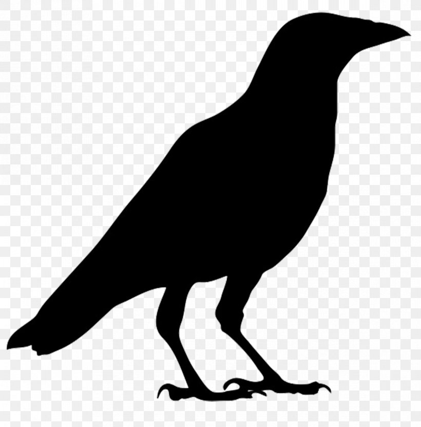 Detail Free Raven Clipart Nomer 31