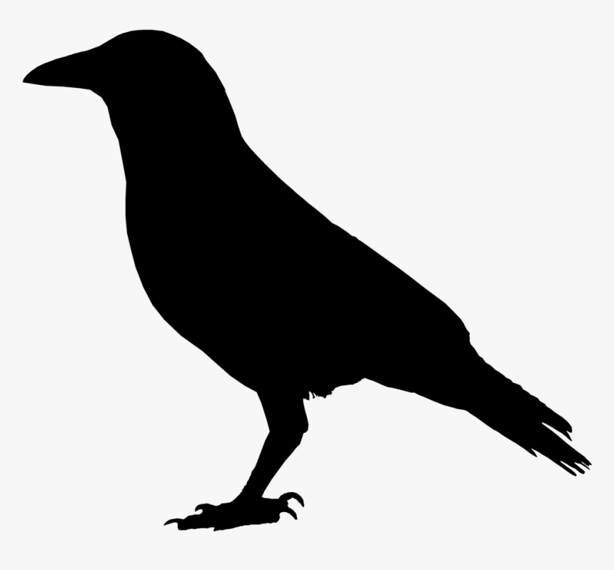 Detail Free Raven Clipart Nomer 32