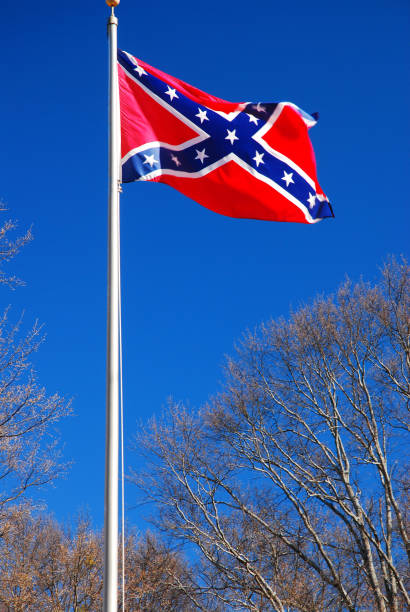 Detail Free Rebel Flags Backgrounds Nomer 5