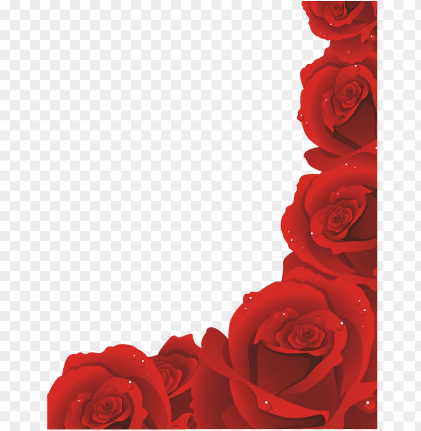 Detail Free Red Roses Nomer 30