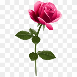 Detail Free Rose Nomer 4