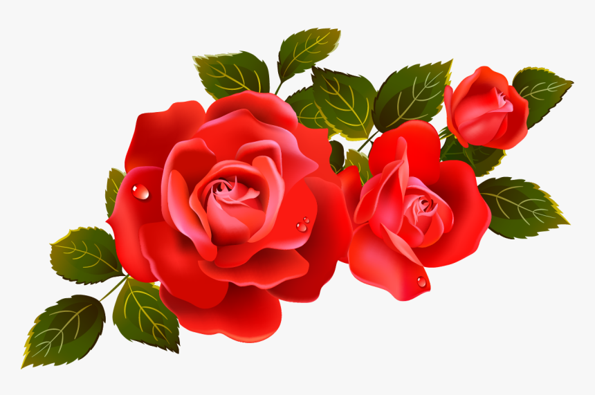 Detail Free Rose Png Nomer 27