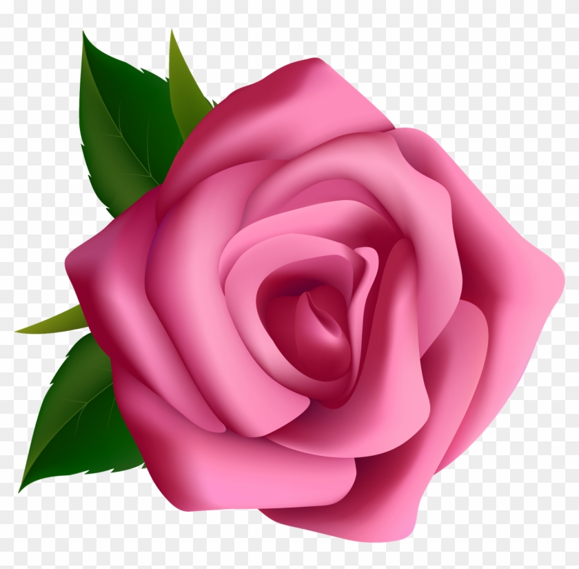 Detail Free Rose Png Nomer 29