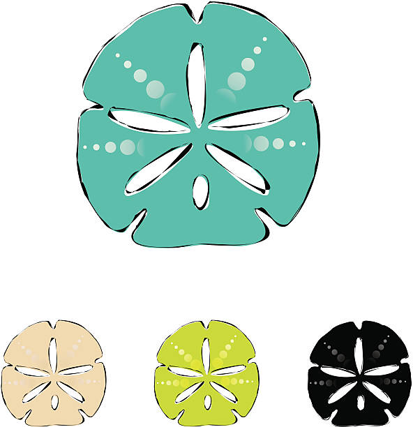 Detail Free Sand Dollar Clip Art Nomer 9