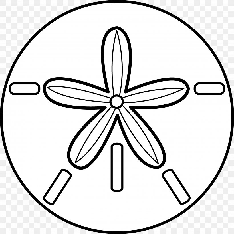 Detail Free Sand Dollar Clip Art Nomer 12