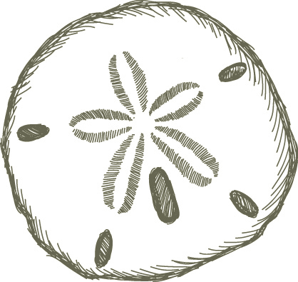 Detail Free Sand Dollar Clip Art Nomer 13