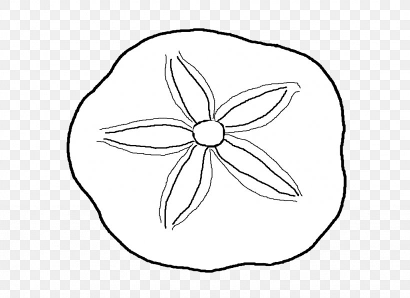 Detail Free Sand Dollar Clip Art Nomer 14