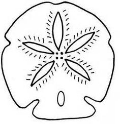 Detail Free Sand Dollar Clip Art Nomer 38