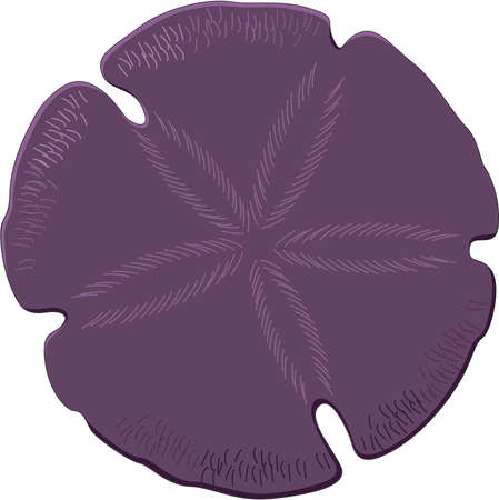 Detail Free Sand Dollar Clip Art Nomer 43