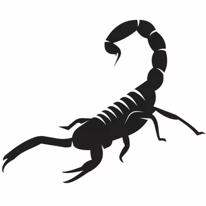 Detail Free Scorpion Clipart Nomer 31