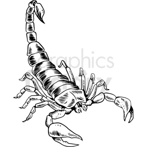 Detail Free Scorpion Clipart Nomer 36