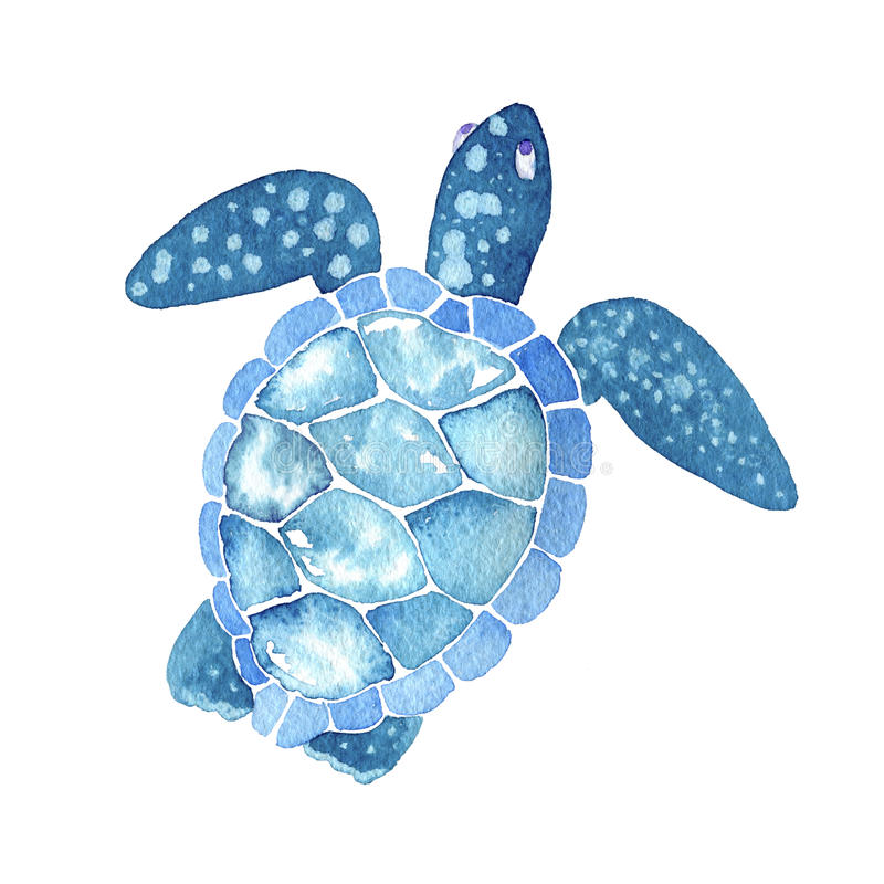 Detail Free Sea Turtle Clipart Nomer 41