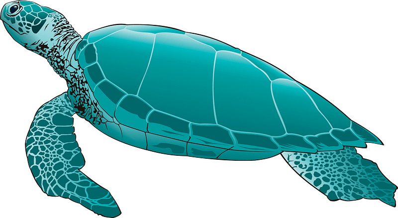 Detail Free Sea Turtle Clipart Nomer 49