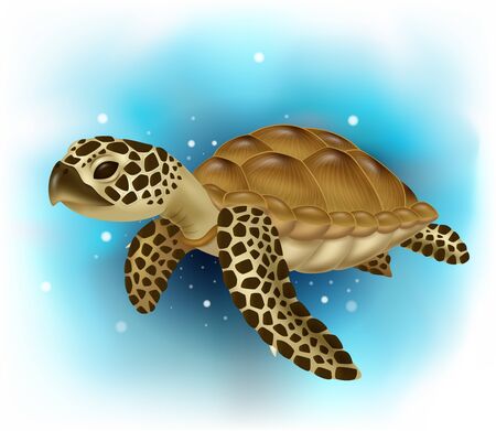 Detail Free Sea Turtle Clipart Nomer 50