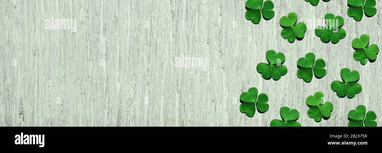 Detail Free Shamrock Images Nomer 41