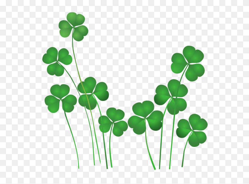 Detail Free Shamrock Vector Nomer 57