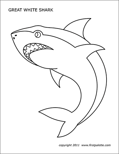 Detail Free Shark Images Nomer 19