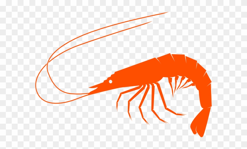 Detail Free Shrimp Clipart Nomer 11