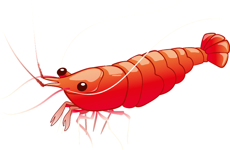 Detail Free Shrimp Clipart Nomer 14