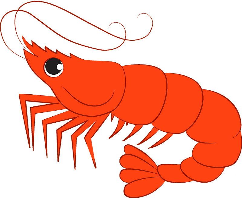 Detail Free Shrimp Clipart Nomer 2