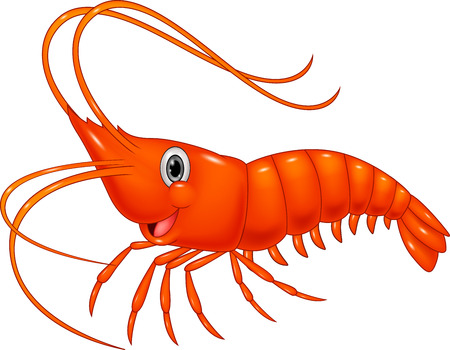 Detail Free Shrimp Clipart Nomer 3