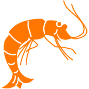 Detail Free Shrimp Clipart Nomer 37