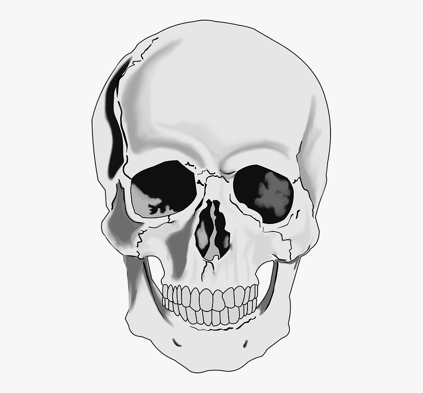 Detail Free Skull Pics Nomer 14