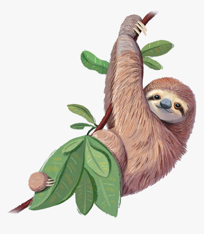 Detail Free Sloth Nomer 9
