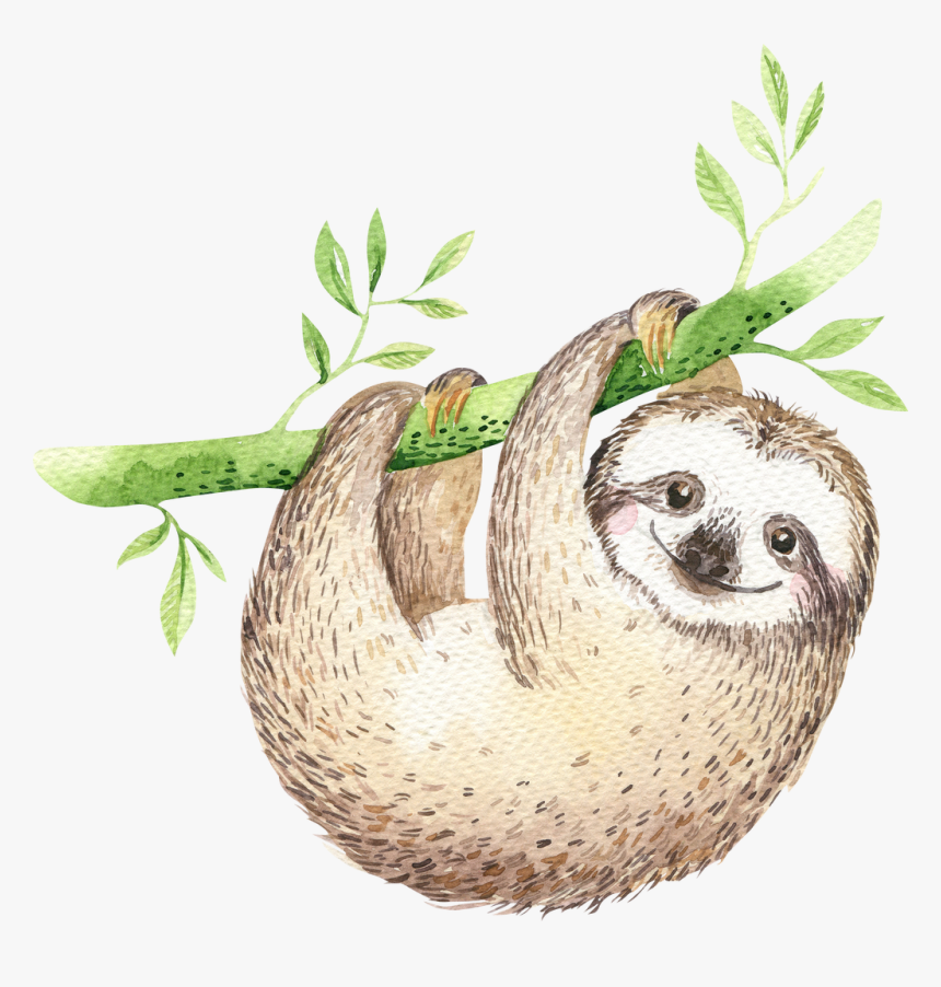 Detail Free Sloth Images Nomer 57