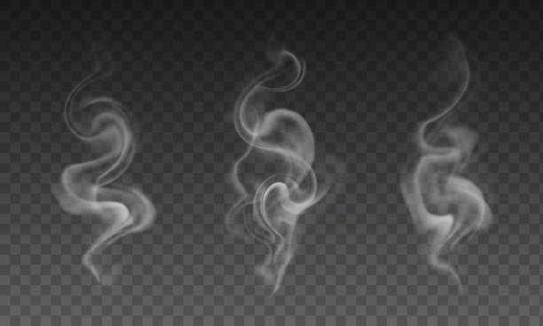 Detail Free Smoke Effect Nomer 44