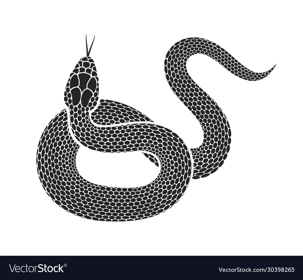 Detail Free Snake Images Nomer 23