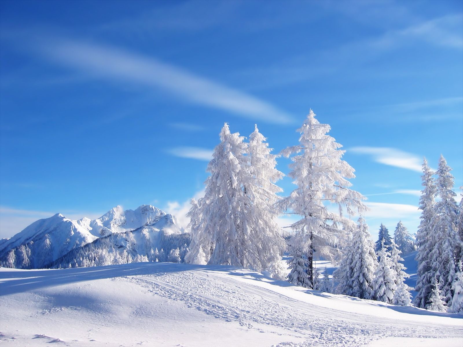 Download Free Snow Image Nomer 45