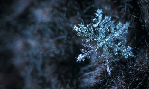 Detail Free Snowflake Images Nomer 31