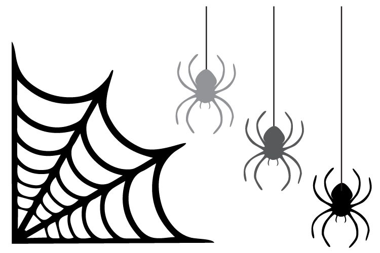 Detail Free Spider Image Nomer 9