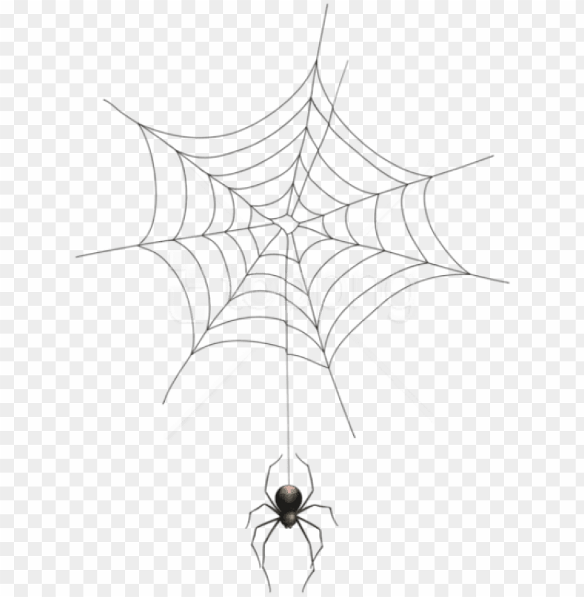 Detail Free Spider Image Nomer 19