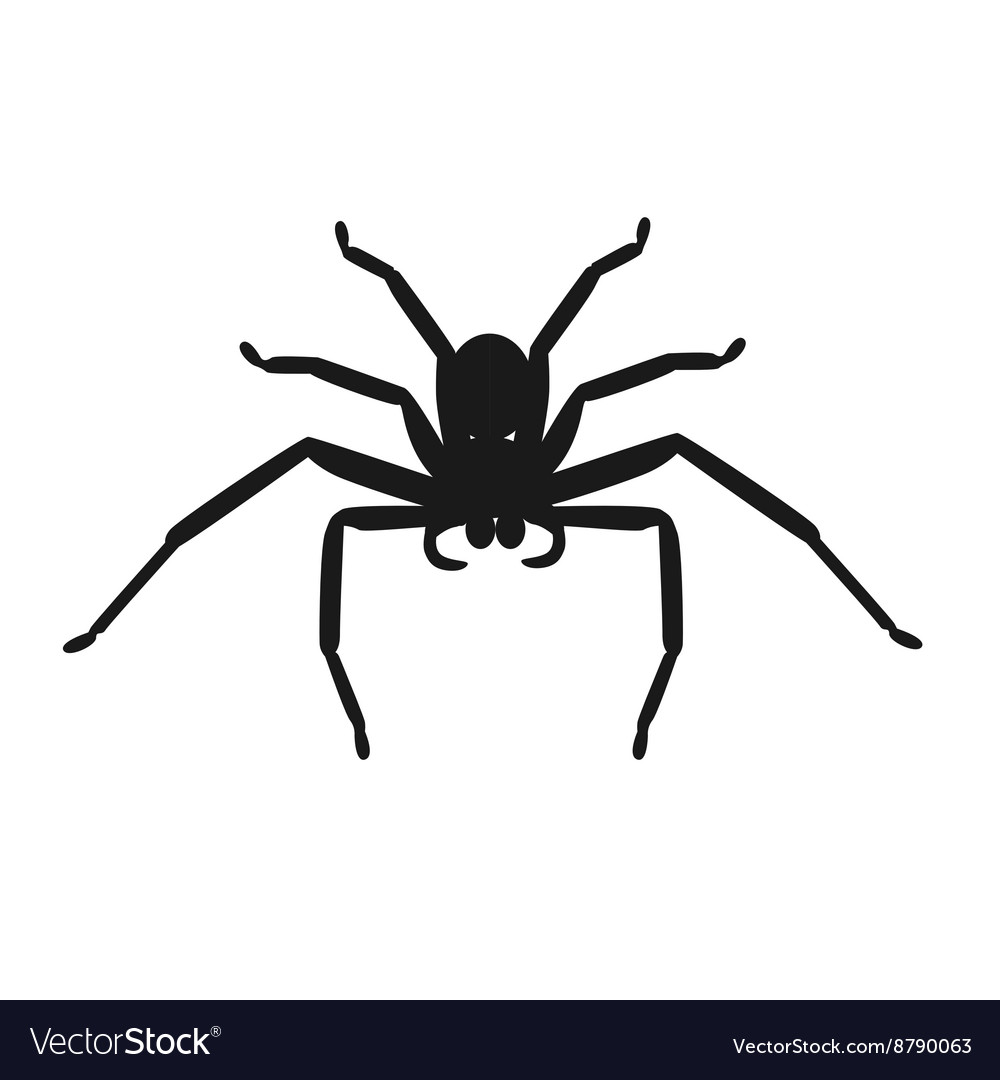 Detail Free Spider Image Nomer 48