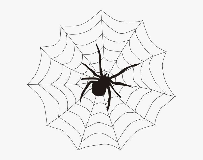 Detail Free Spider Web Clipart Nomer 25