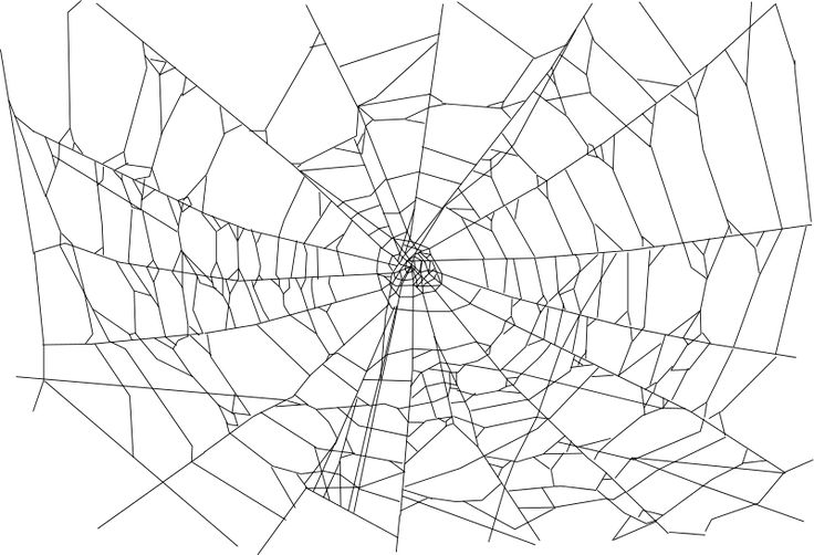 Detail Free Spider Web Clipart Nomer 26