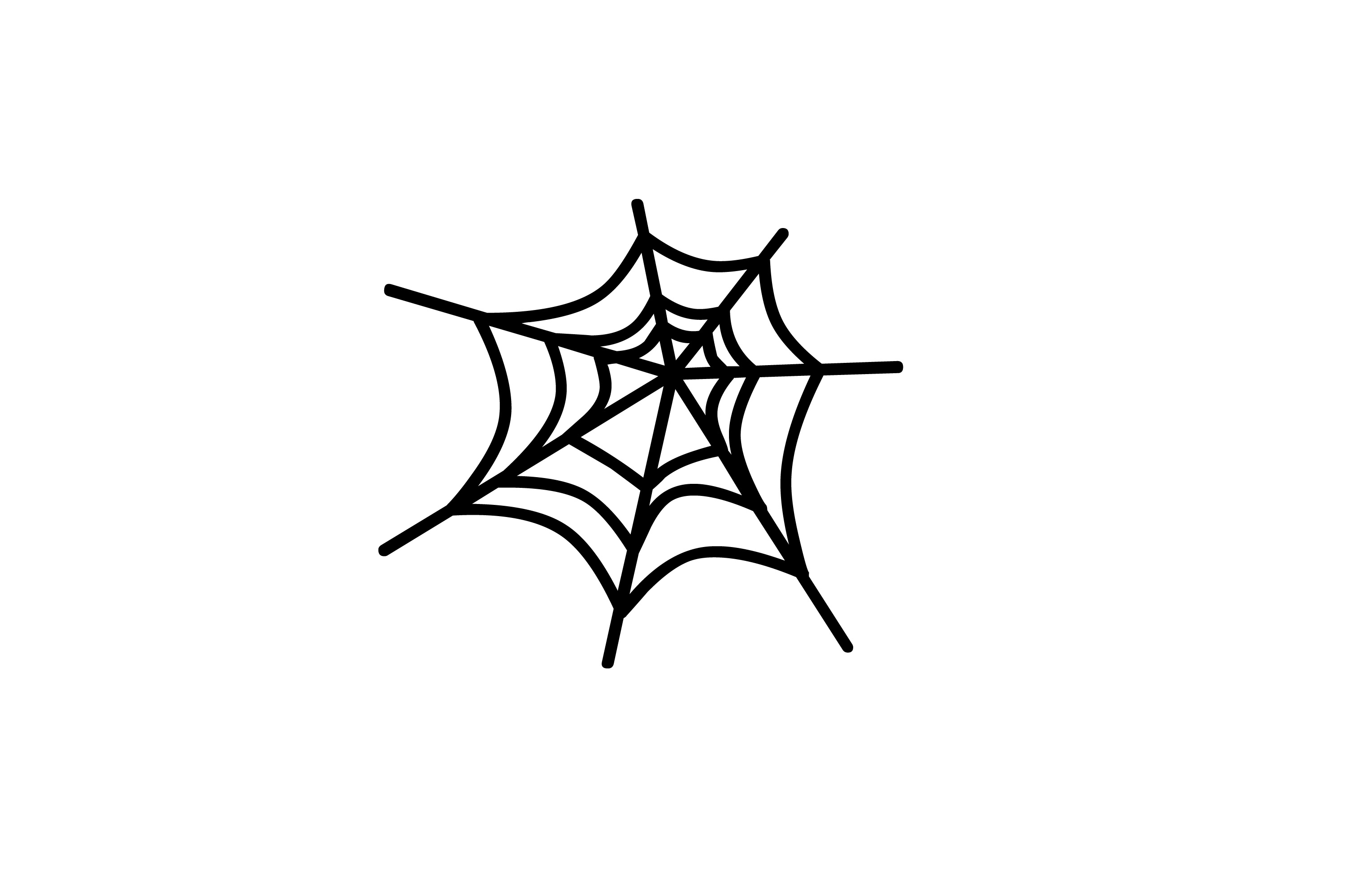 Detail Free Spider Web Clipart Nomer 36